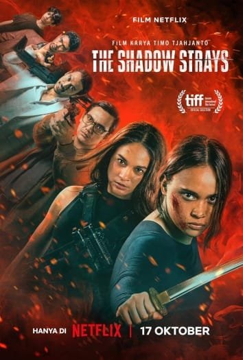 The Shadow Strays (2024) Hindi ORG Dual Audio HDRip | 1080p | 720p | 480p | ESubs | Moviesflix